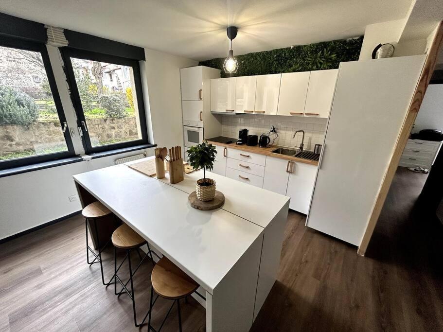Le Puy En Velay - Appartement Grand Confort Le Puy-en-Velay Exterior foto